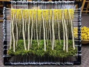 16265350_979829682117265_1162256009691061363_n