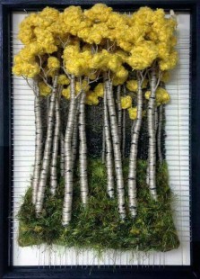 16387102_979830342117199_5707913313598149770_n