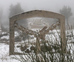 272085474_10222950564564898_5071115086875035659_n