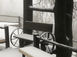 272105050_10222950562644850_2310769770825037544_n