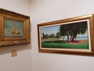 WhatsApp Image 2022-06-17 at 12.24.58 PM