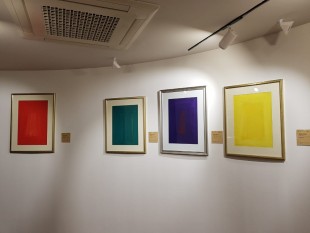 WhatsApp Image 2022-06-17 at 12.25.07 PM(2)