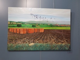 المتحف الوطني التركي للفنون والنحت