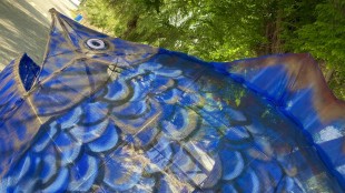 التشكيلية مروى مصري