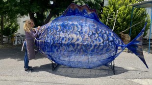 التشكيلية مروى مصري