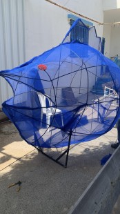 اليوم العالمي للبيئة