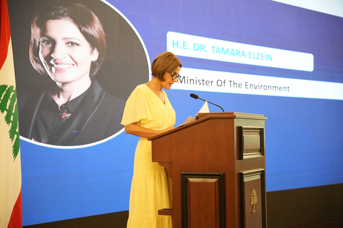 الوزيرة تمارا الزين 