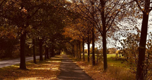 WhatsApp Image 2025-10-20 at 3.18.24 PM