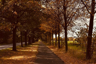 WhatsApp Image 2025-10-20 at 3.18.24 PM