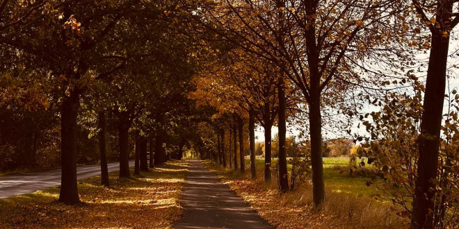 WhatsApp Image 2025-10-20 at 3.18.24 PM