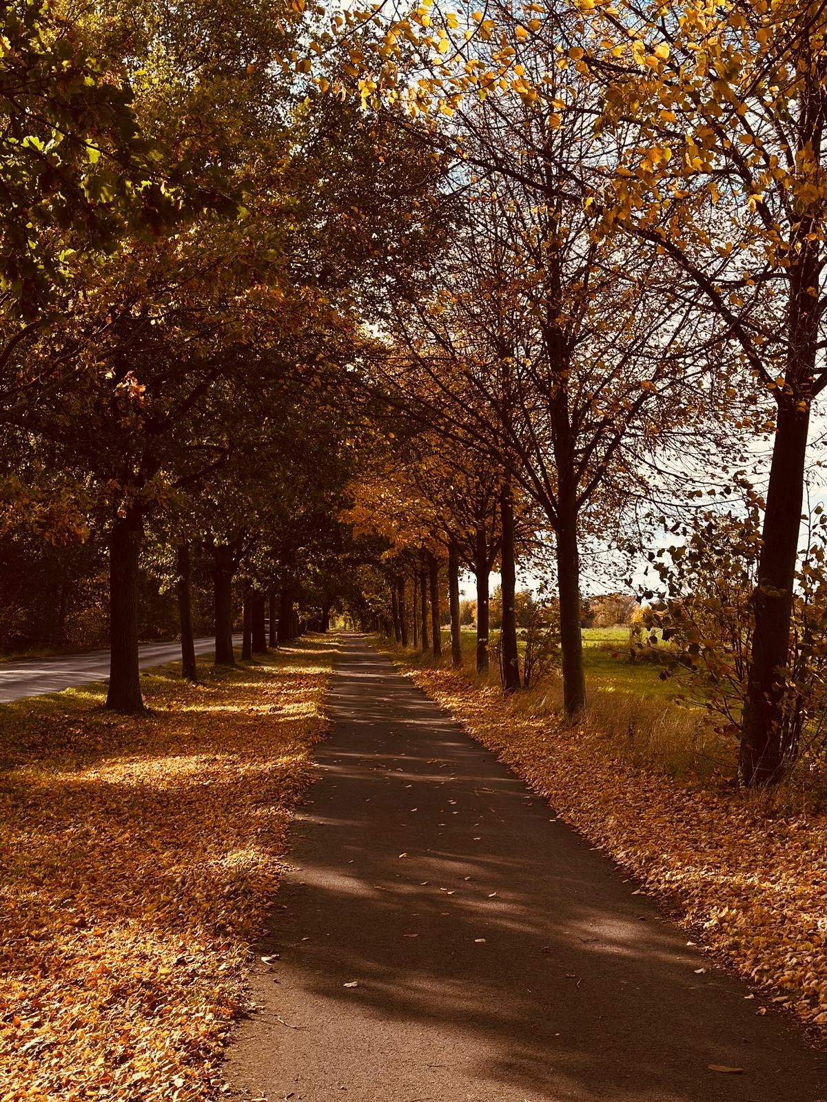 WhatsApp Image 2025-10-20 at 3.18.24 PM