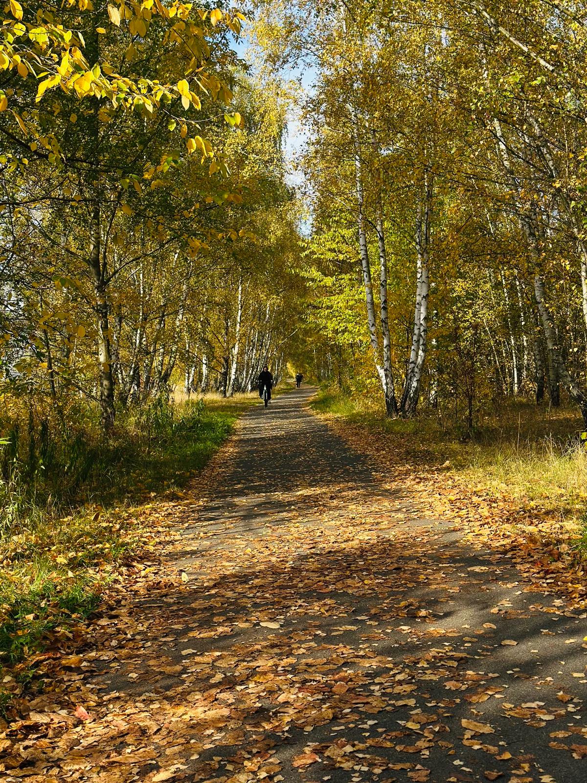 WhatsApp Image 2025-10-20 at 4.40.08 PM