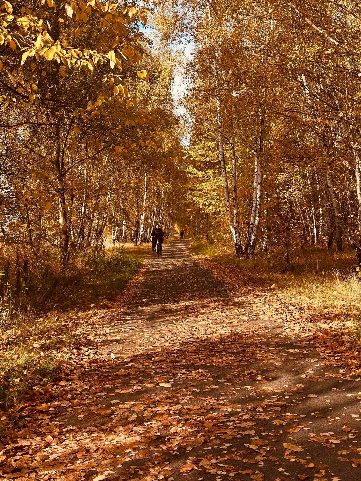 WhatsApp Image 2025-10-20 at 4.40.12 PM