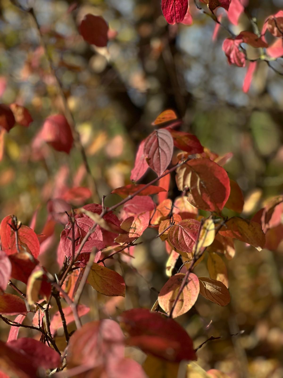 WhatsApp Image 2025-10-20 at 4.40.21 PM