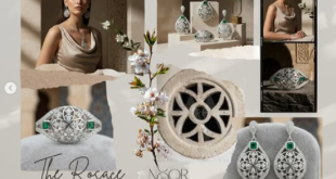 المهندسة نور قبيسي