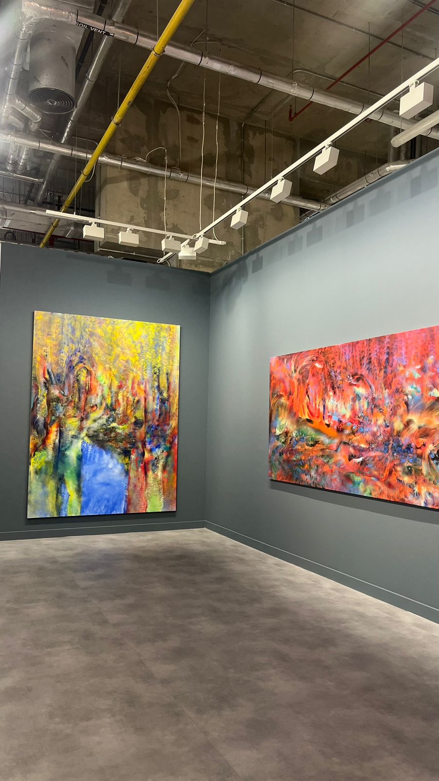 WhatsApp Image 2026-02-07 at 12.31.59 PM