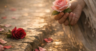 الكاتبة ليندا حمّورة